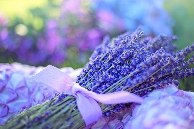 envios urgentes de flores para funeral a vitoria