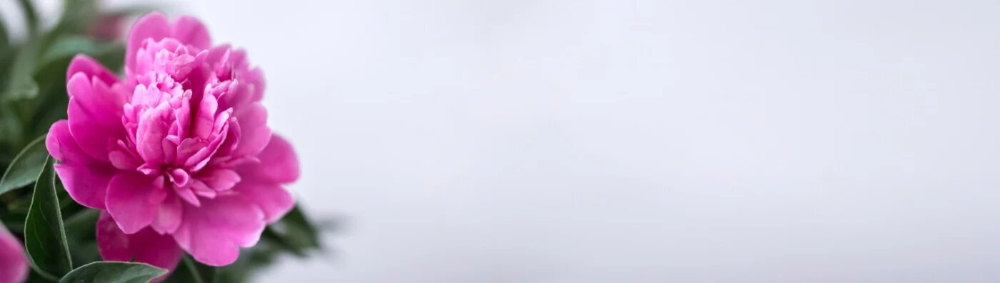 Banner tanatorio vitoria